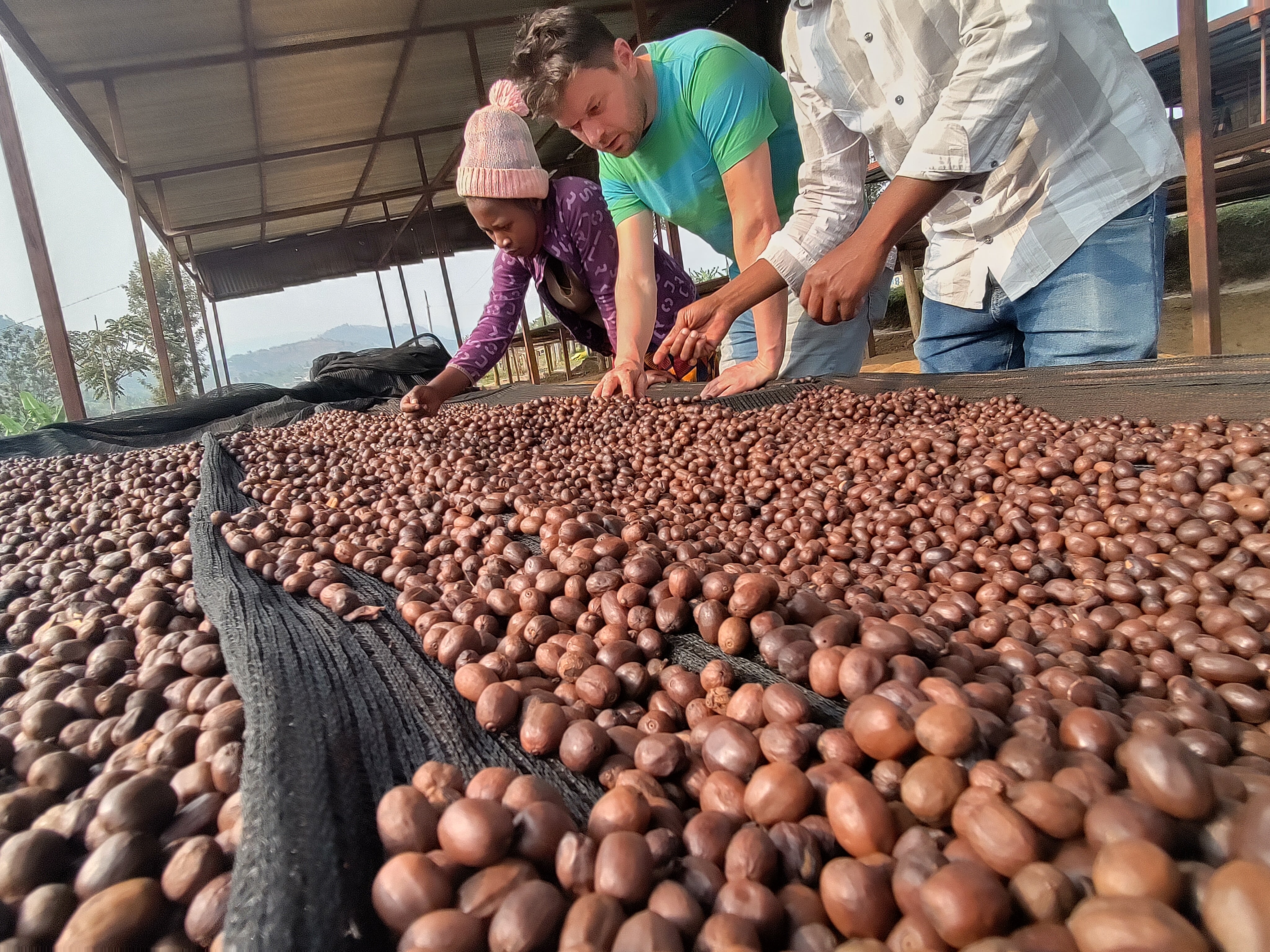 Rwanda Rushashi - Filter