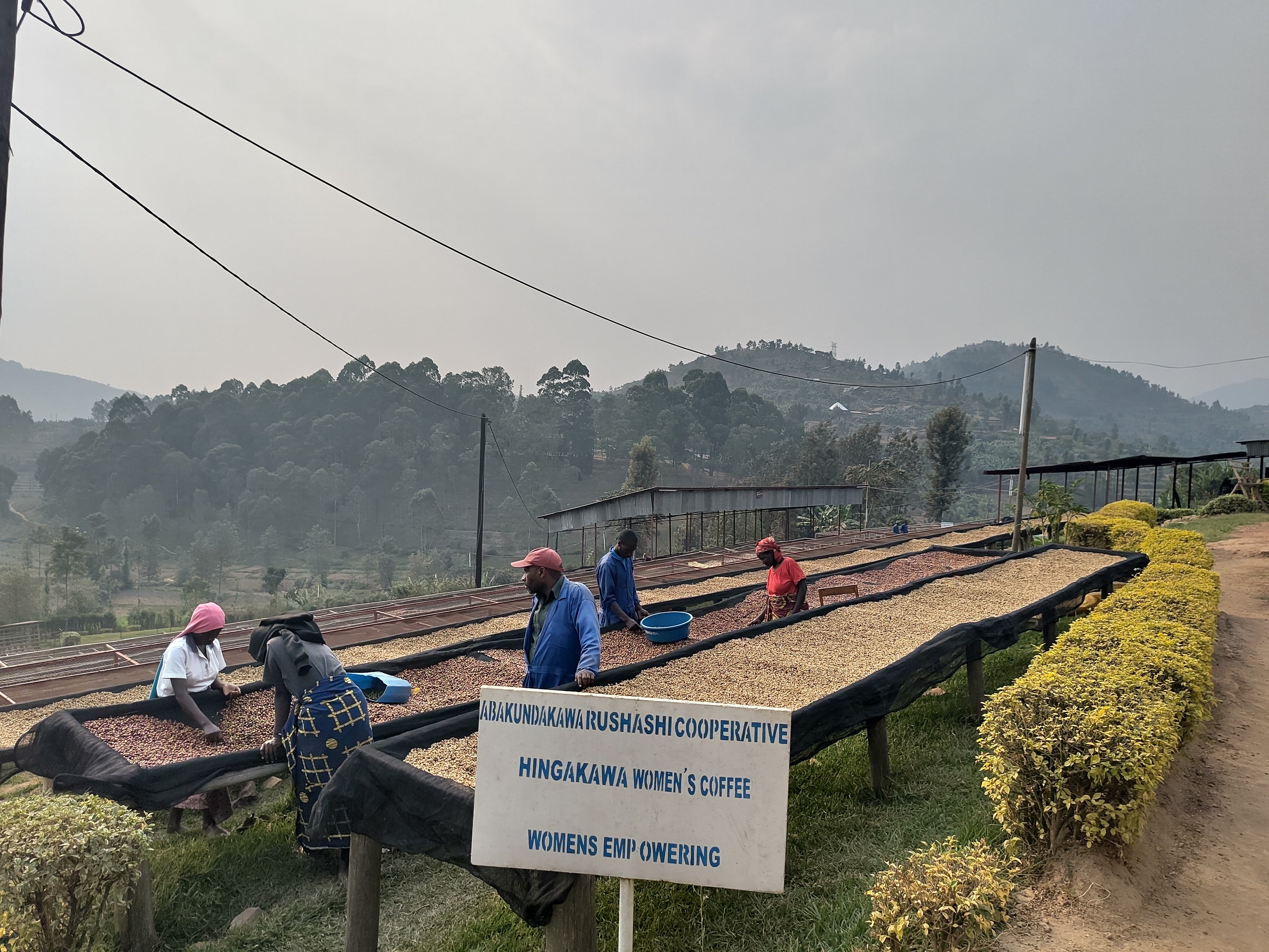 Rwanda Rushashi - Filter