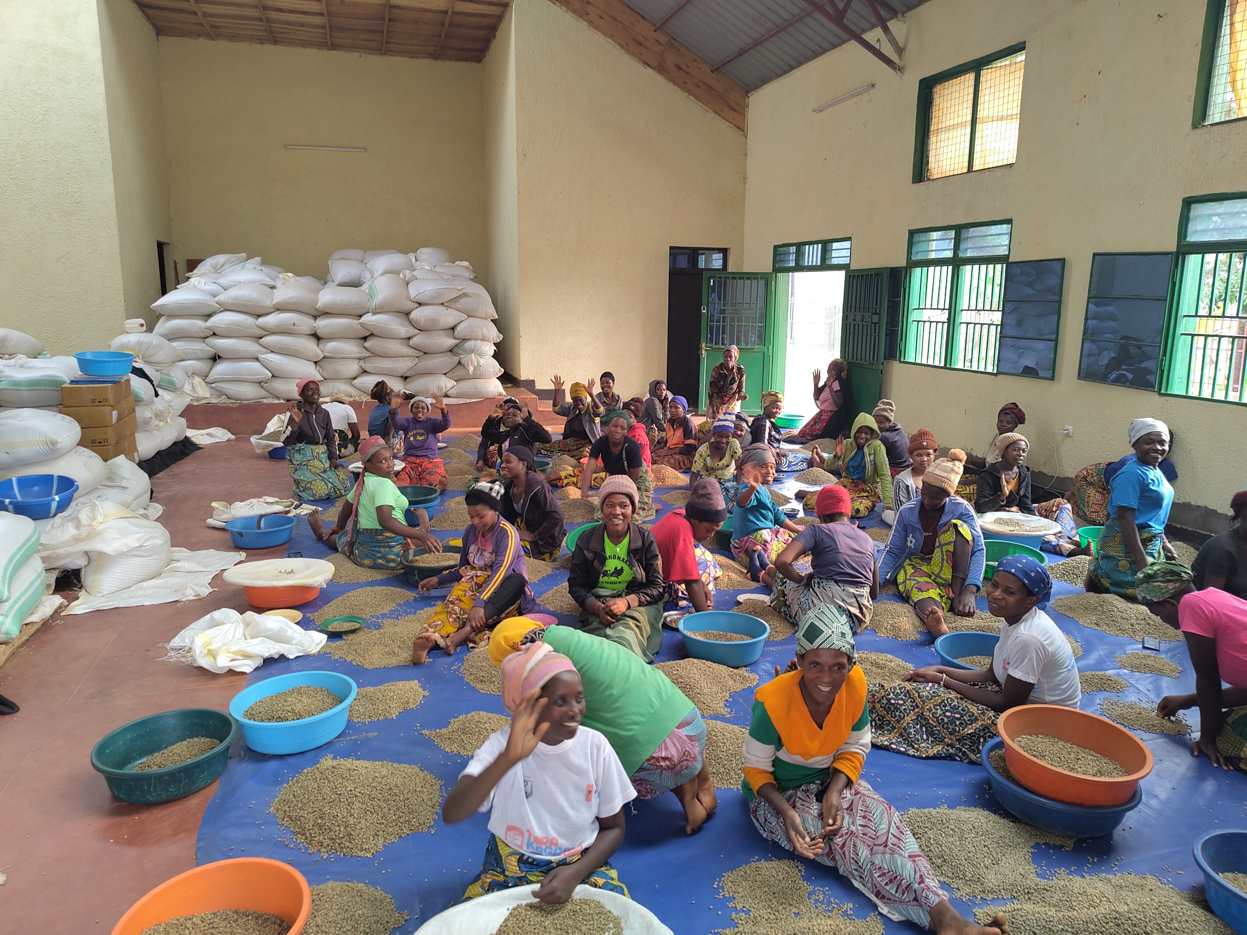 Rwanda Rushashi - Espresso