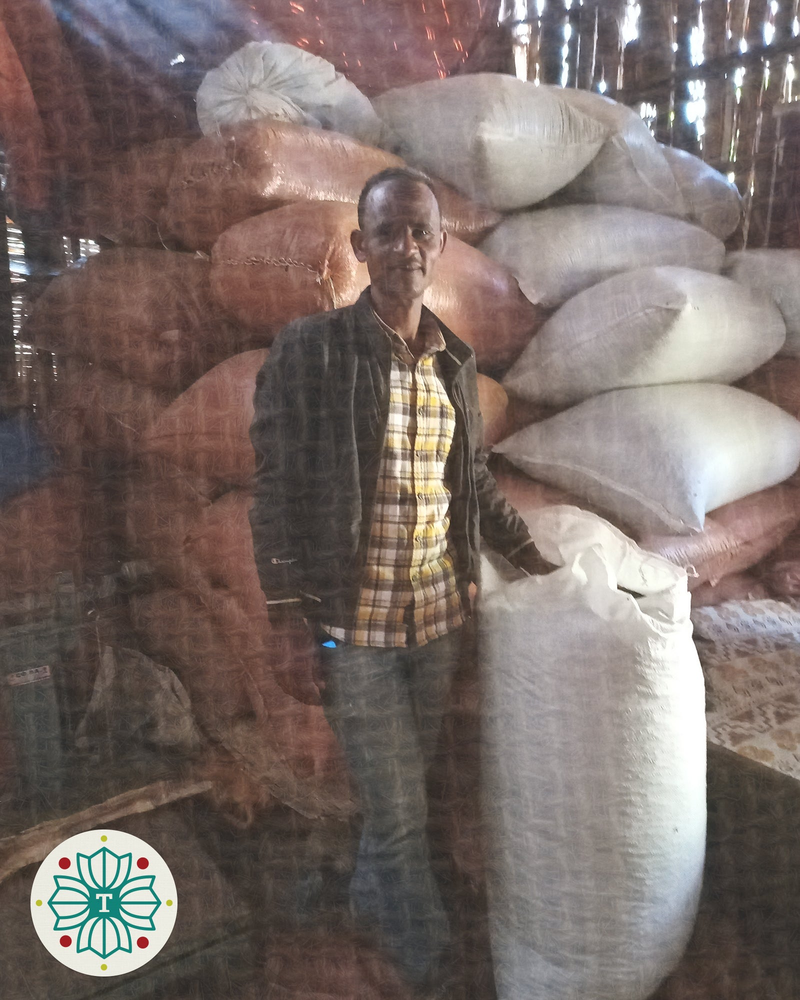 Ethiopia Legesse Matisso - Filter (NEW)