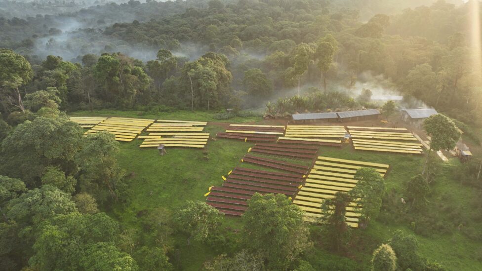 Ethiopia Bitta - Filter NEW