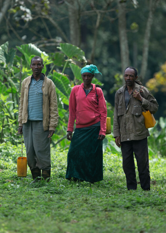 Ethiopia Bitta - Filter NEW