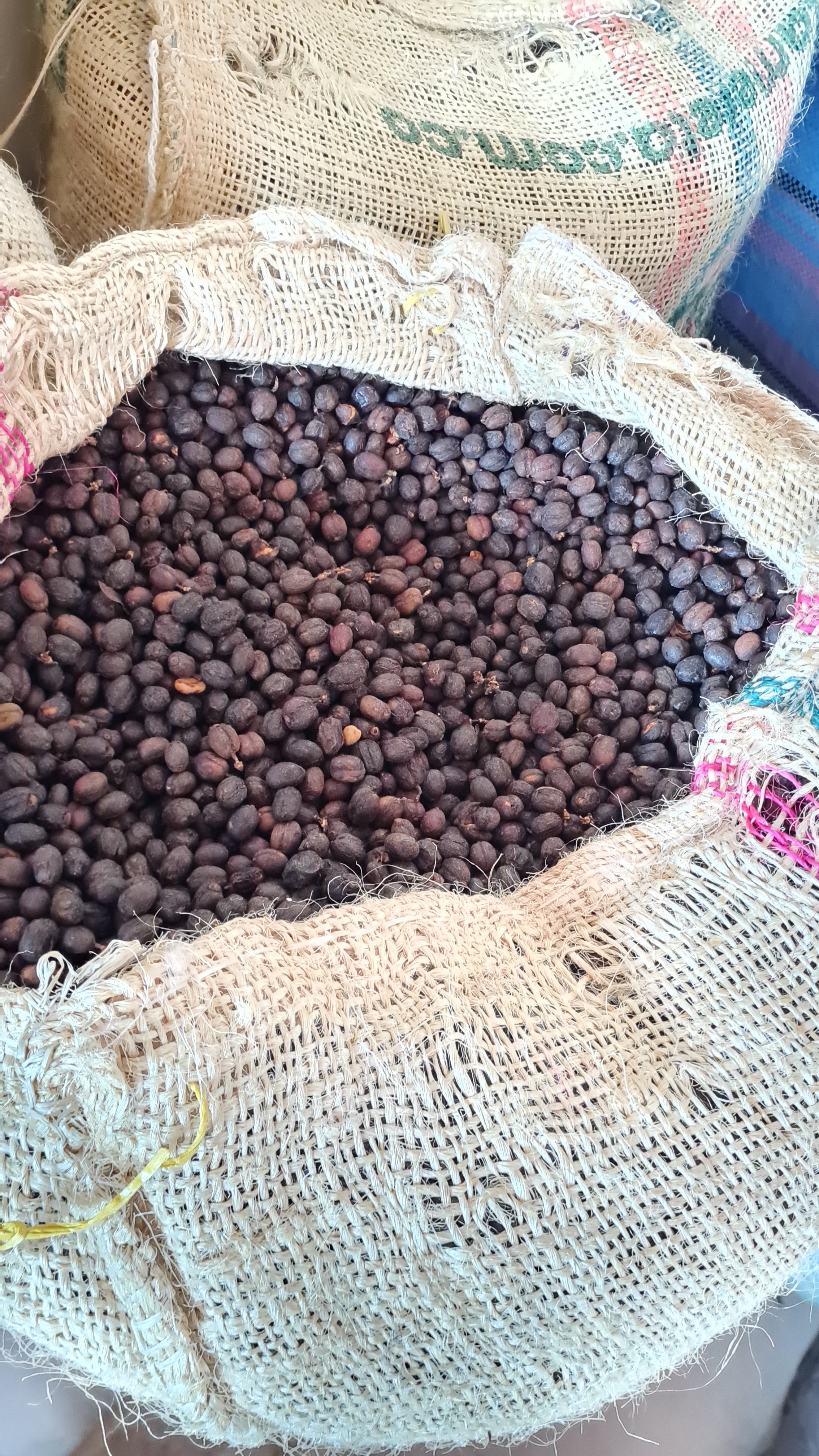 De zongedroogde natural staat veilig bij hem thuis in de living