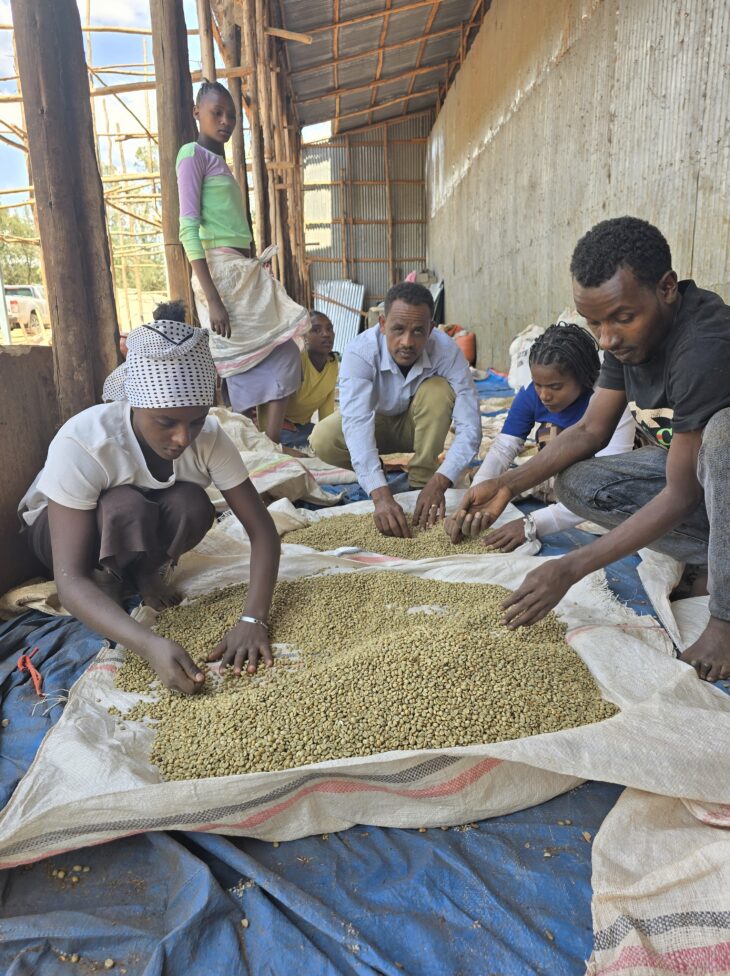 Ethiopie Legesse Matisso - Filtre (NEW)